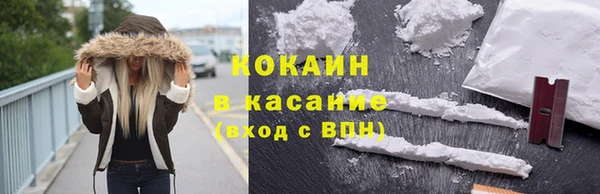 сатива Корсаков