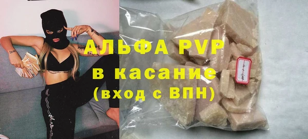 гашик Арсеньев