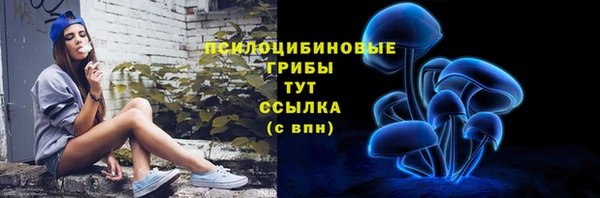 прущие крисы Аркадак