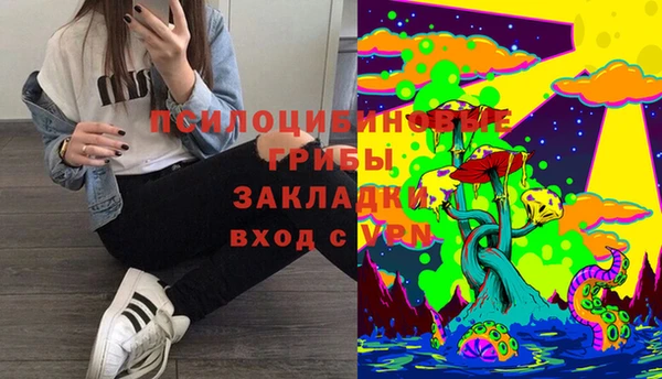 трава Армянск