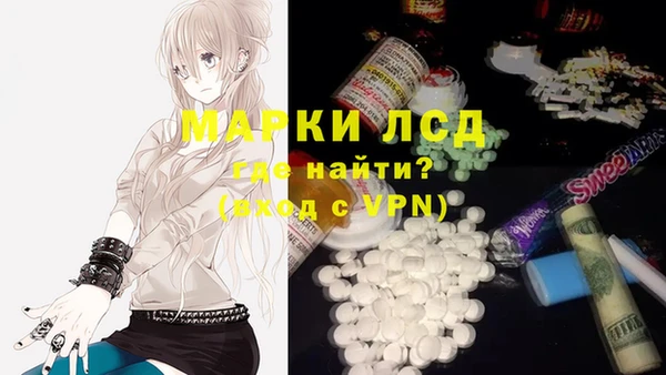 гашик Арсеньев
