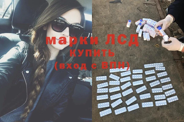 прущие крисы Аркадак