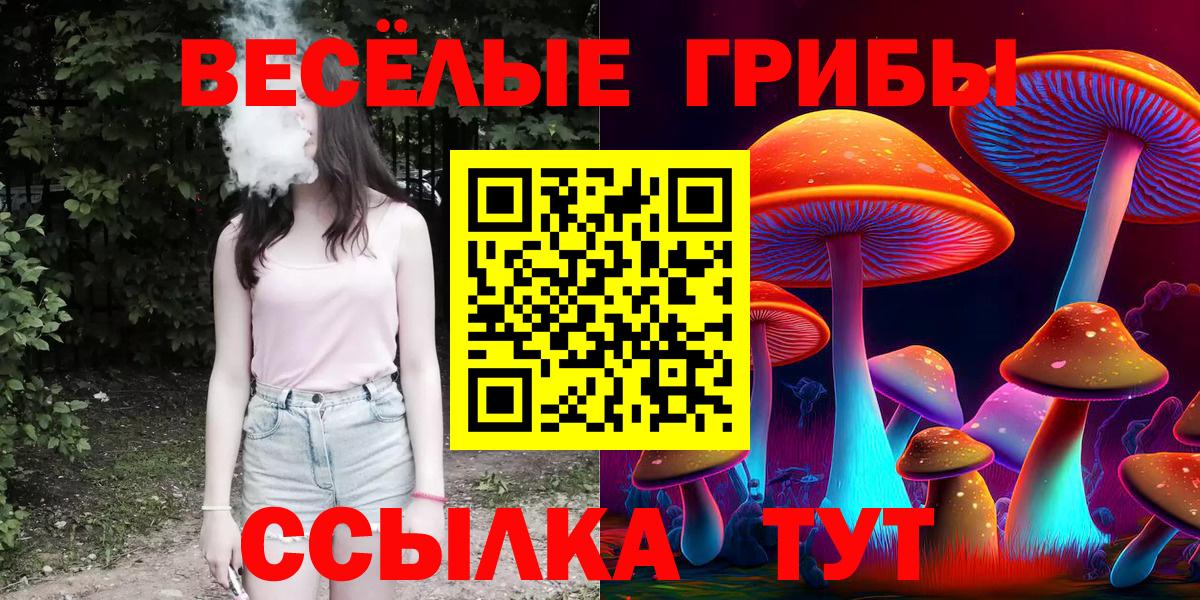 Галлюциногенные грибы Magic Shrooms  Вход с VPN  Переславль-Залесский 